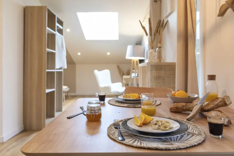 oliveraie-eurocentre-location-chambre-hote-appartement-hotel-spa-charme-toulouse-le-cocon-image-14