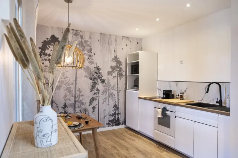 oliveraie-eurocentre-location-chambre-hote-appartement-hotel-spa-charme-toulouse-le-cocon-image-21