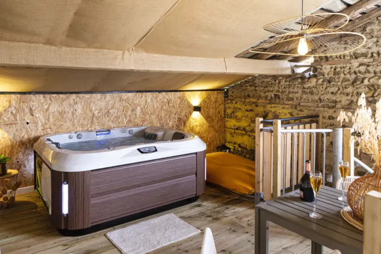 oliveraie-eurocentre-location-chambre-hote-appartement-hotel-spa-charme-toulouse-le-cocon-image-34