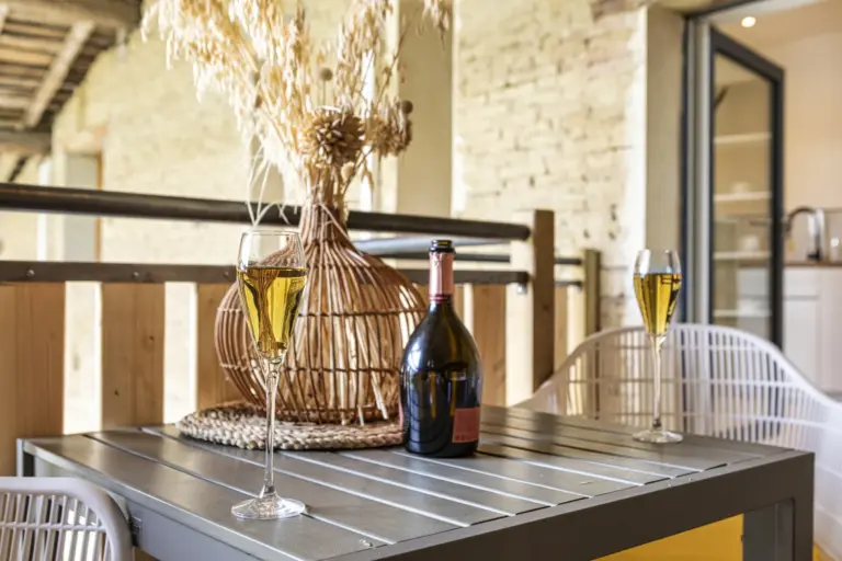 oliveraie-eurocentre-location-chambre-hote-appartement-hotel-spa-charme-toulouse-le-cocon-image-46